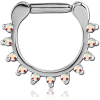 Surgical Steel Round Prong Set Jewelled Hinged Septum Clicker