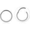 Titanium Jewelled Hinged Segment Hoop
