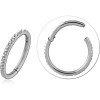 Titanium Bumped Cut Face Hinged Segment Ring