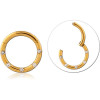 Gold Pvd Coated Surgical Steel Jewelled Hinged Segment Ring
