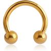 Gold Pvd Coated Surgical Steel Circular Barbell