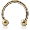 Zircon Gold Pvd Coated Titanium Micro Circular Barbell