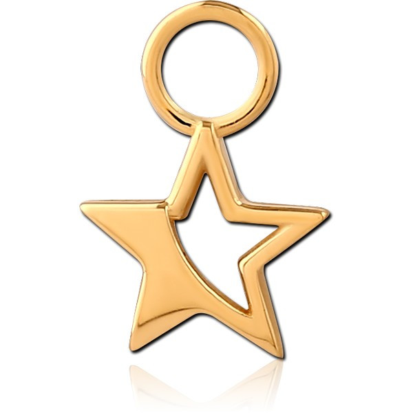 STERLING SILVER 925 GOLD PVD SLIDING CHARM FOR HINGED SEGMENT RING