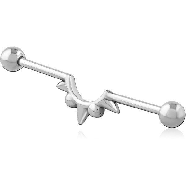 SURGICAL STEEL INDUSTRIAL BARBELL