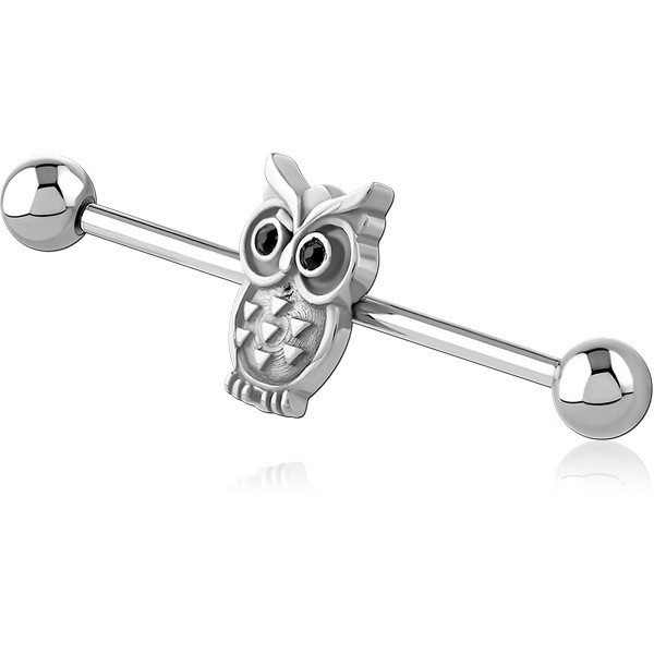 SURGICAL STEEL INDUSTRIAL BARBELL