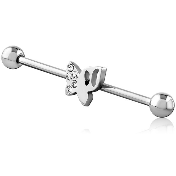 SURGICAL STEEL INDUSTRIAL BARBELL