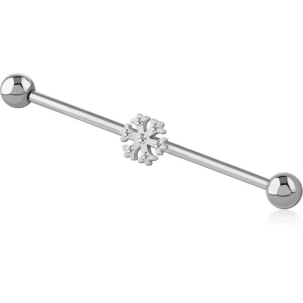 SURGICAL STEEL INDUSTRIAL BARBELL