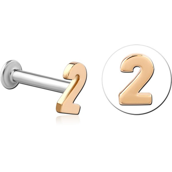 14K GOLD ATTACHMENT WITH SURGICAL STEEL INTERNALLY THREADED MICRO LABRET PIN
