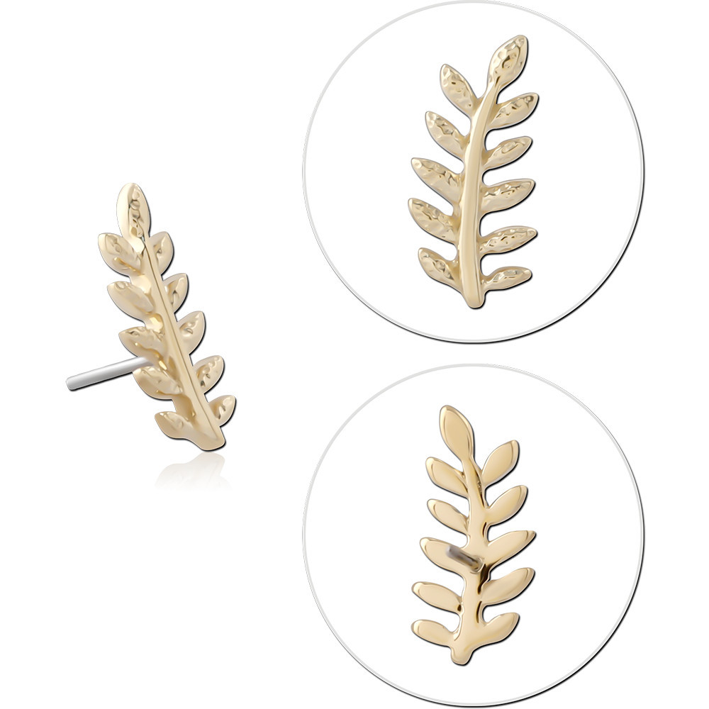 14K YELLOW GOLD TOP WITH TITANIUM THREADLESS PIN LAUREL LEAF BRANCH LEFT