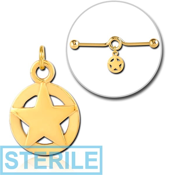 STERILE GOLD PVD COATED SURGICAL STEEL CHARM FOR INDUSTRIAL BARBELL