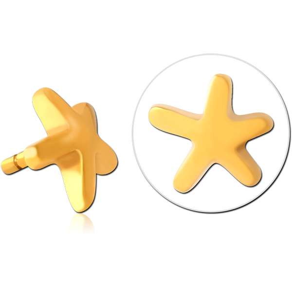 GOLD PVD COATED SURGICAL STEEL PUSH FIT ATTACHMENT FOR BIOFLEX INTERNAL LABRET - STARFISH