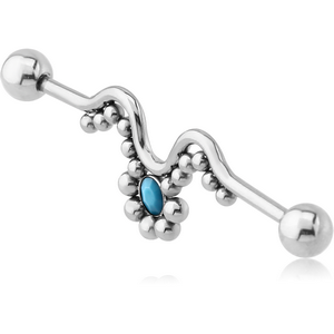 SURGICAL STEEL INDUSTRIAL BARBELL
