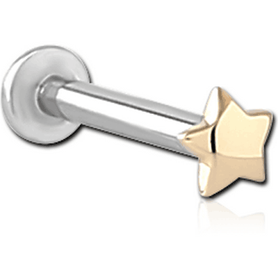 14K GOLD ATTACHMENT WITH SURGICAL STEEL INTERNALLY THREADED MICRO LABRET PIN