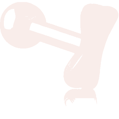 ROSE GOLD PVD COATED SURGICAL STEEL TRAGUS MICRO BARBELL - BONE