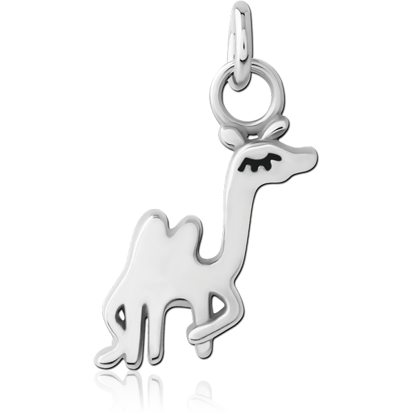 SURGICAL STEEL CHARM
