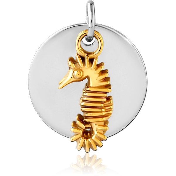 SURGICAL STEEL CHARM