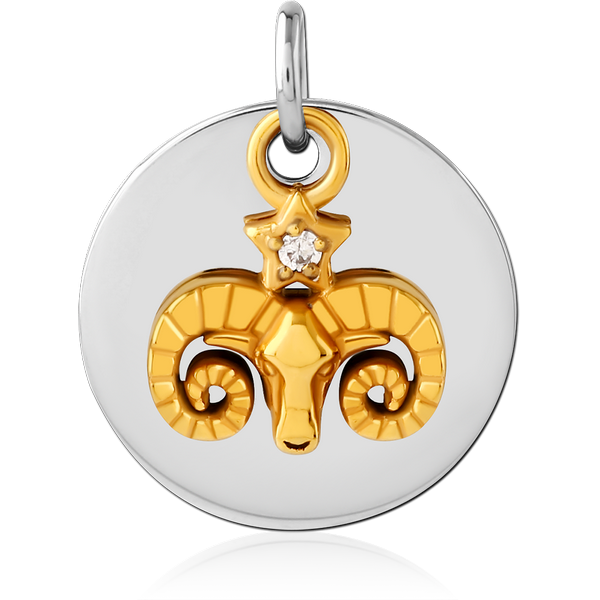 SURGICAL STEEL CHARM
