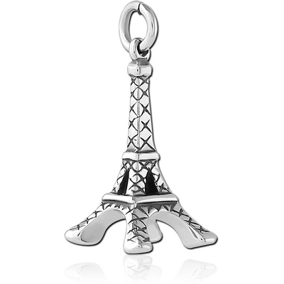 SURGICAL STEEL CHARM