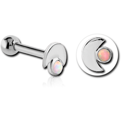 14K WHITE GOLD JEWELLED ATTACHMENT WITH TITANIUM INTERNALLY THREADED MICRO BARBELL