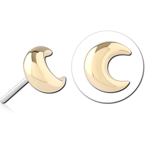 14K GOLD ATTACHMENT TITANIUM THREADLESS PIN
