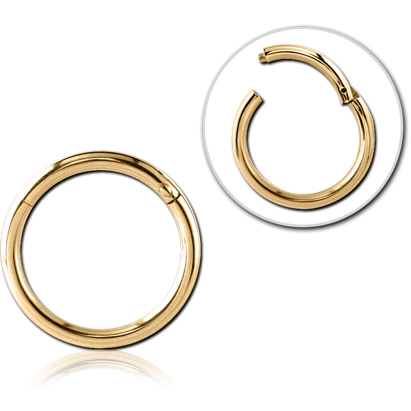 STERILE GOLD PVD 18K COATED SURGICAL STEEL HINGED SEGMENT RING