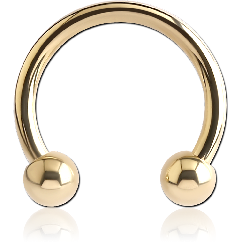 ZIRCON PVD COATED TITANIUM INTERNALLY THREADED MICRO CIRCULAR BARBELL