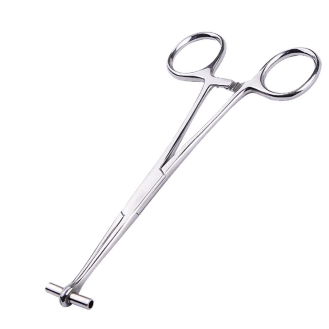 STAINLESS STEEL SEPTUM FORCEPS