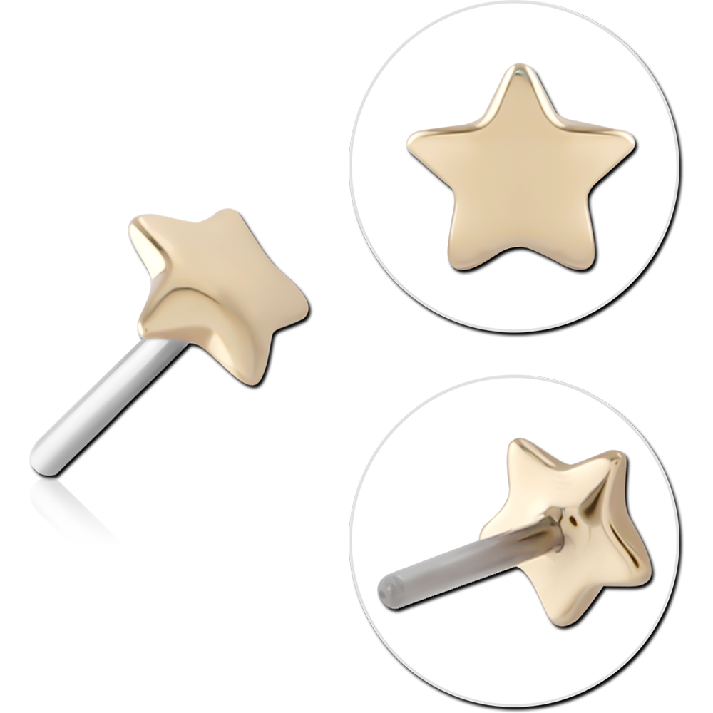 14K GOLD ATTACHMENT TITANIUM THREADLESS PIN