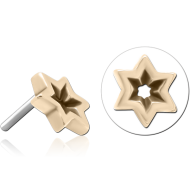 14K GOLD ATTACHMENT TITANIUM THREADLESS PIN