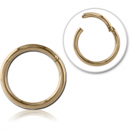 14K GOLD HINGED SEGMENT RING PIERCING