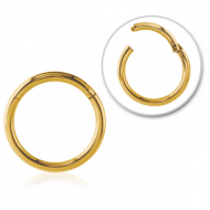 GOLD PVD COATED SURGICAL STEEL HINGED SEGMENT RING PIERCING