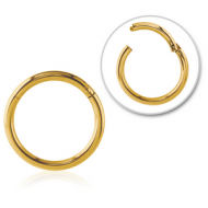 GOLD PVD COATED SURGICAL STEEL HINGED SEGMENT RING