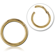 STERILE ZIRCON GOLD PVD COATED SURGICAL STEEL HINGED SEGMENT RING