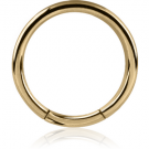 ZIRCON GOLD PVD COATED SURGICAL STEEL SMOOTH SEGMENT RING